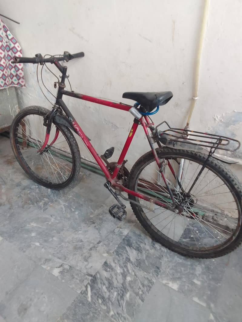 Phoenix bicycle 2