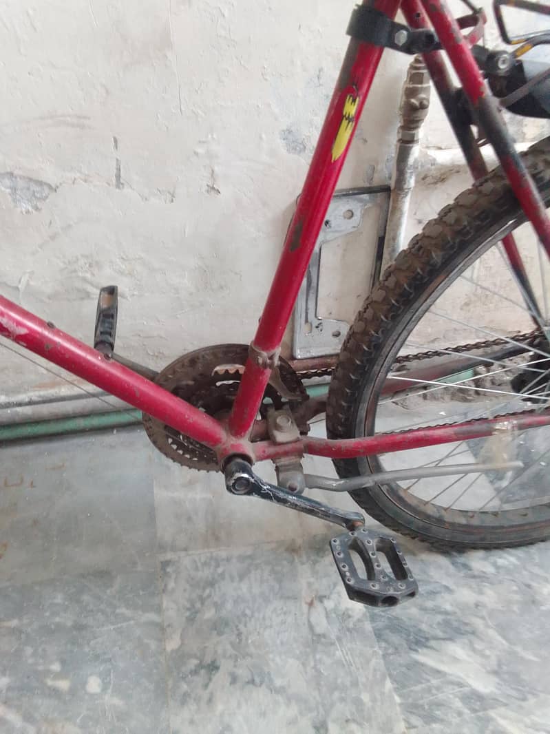 Phoenix bicycle 3