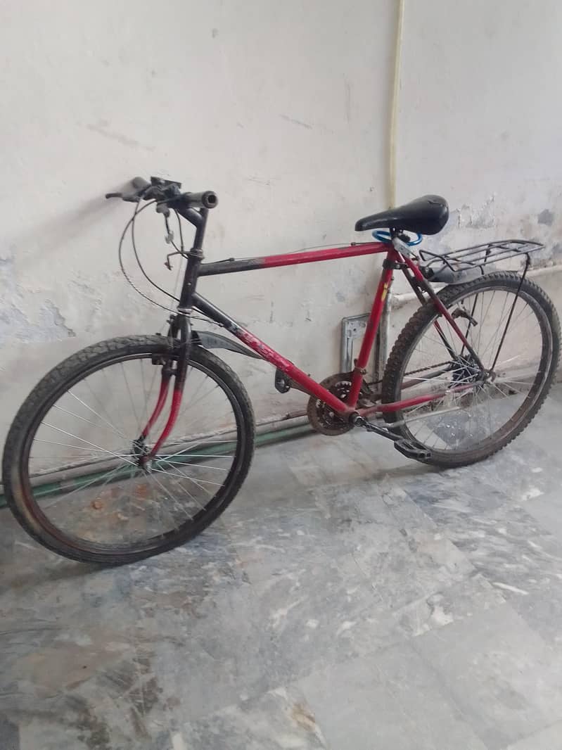 Phoenix bicycle 4