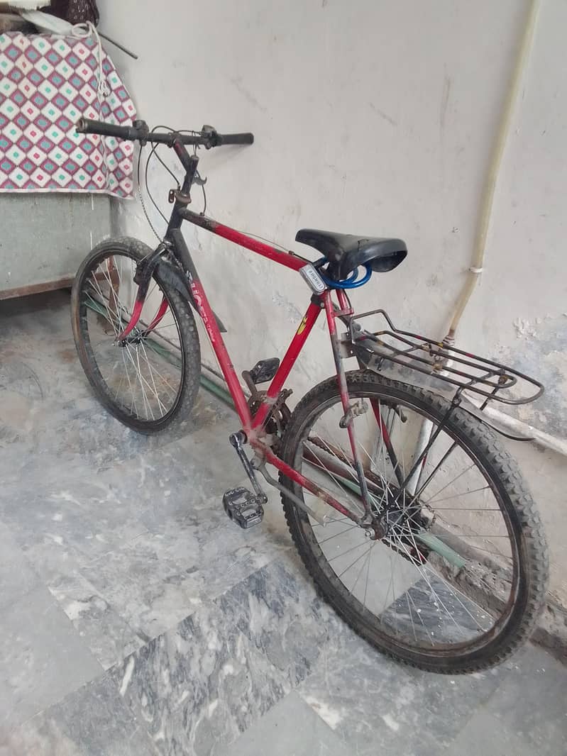 Phoenix bicycle 5