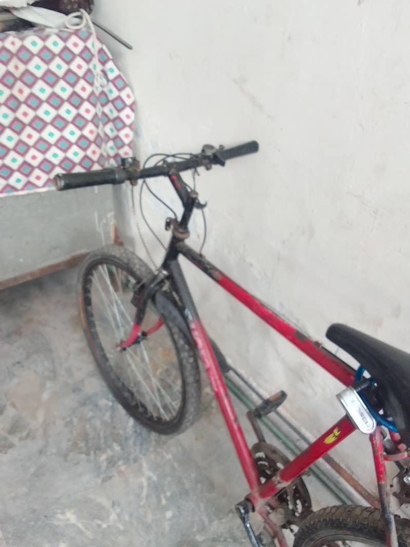 Phoenix bicycle 6