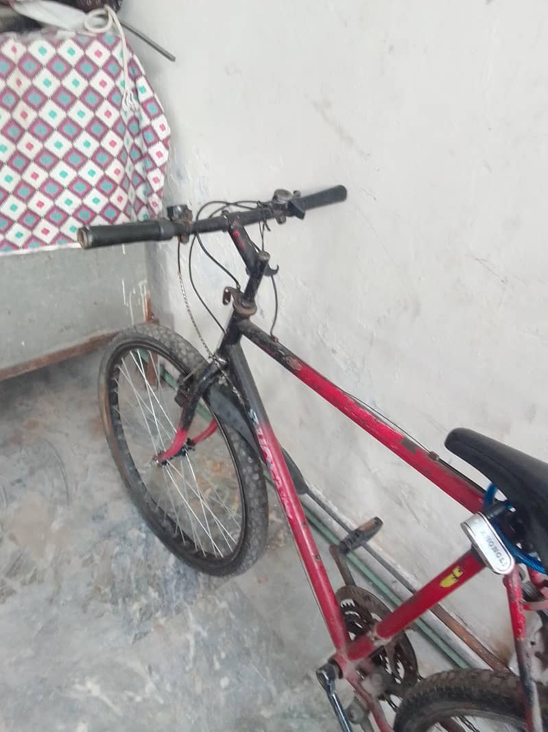 Phoenix bicycle 7