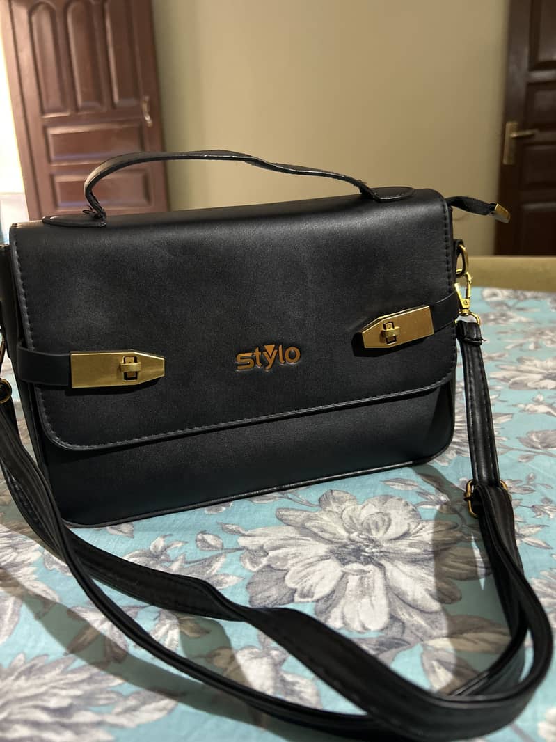 Hand Bag 4