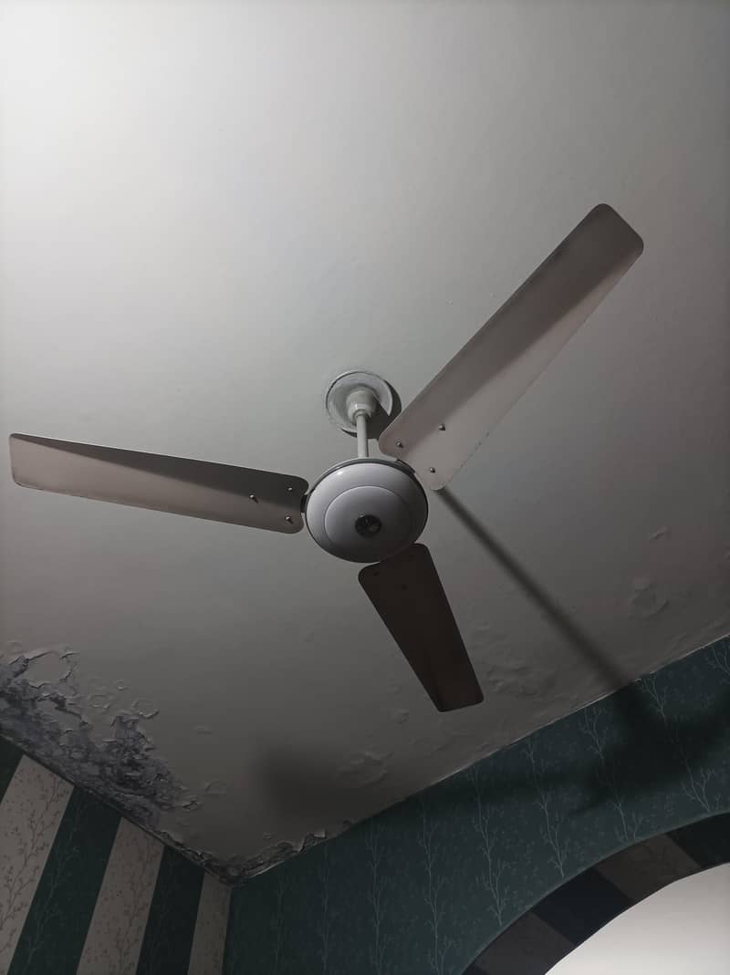 ceiling fan 0