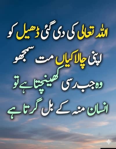 Desi kitchen دیسی کیچن
