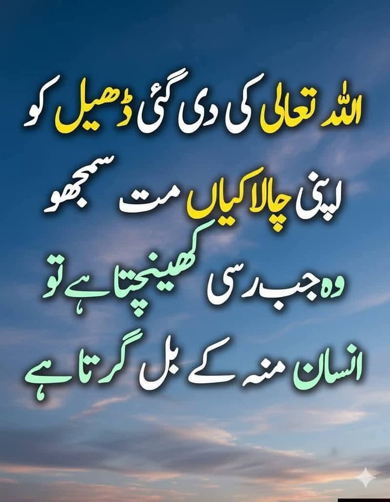 Desi kitchen دیسی کیچن 0