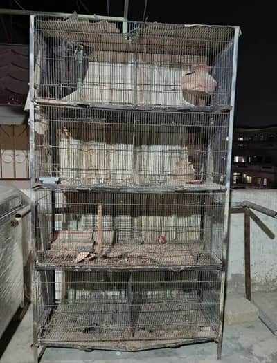 8 portion cage