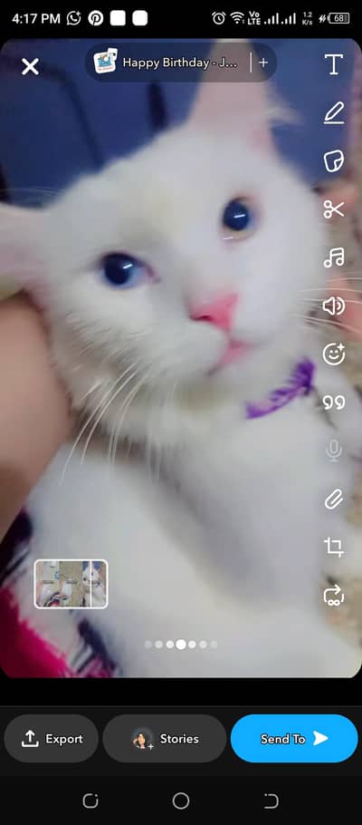 odd eyes