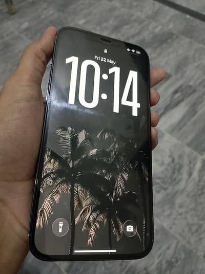 Apple iPhone 12 Pro Max