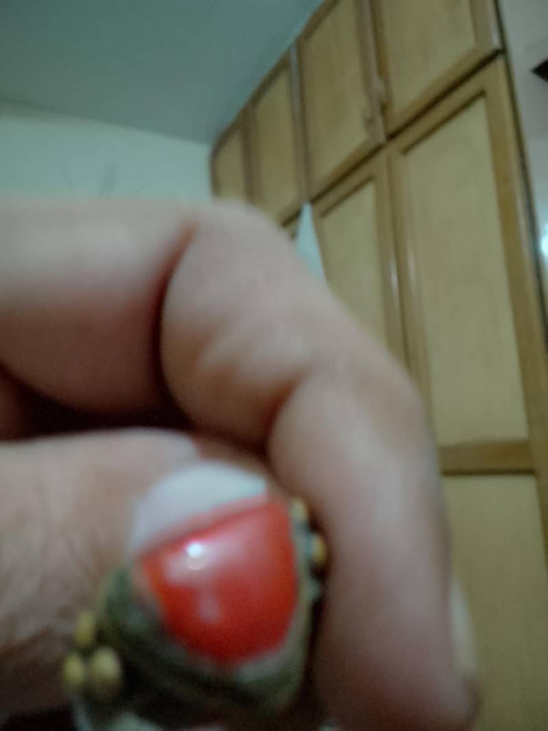 Marjan ring 1