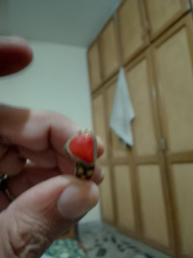 Marjan ring 6