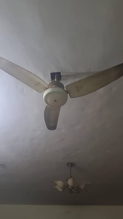 Fan Hai Ok
