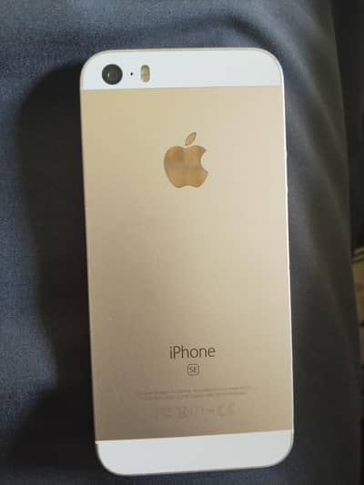 Apple iPhone SE 1st generation