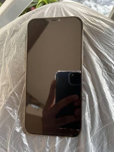 Apple iPhone 12 Pro Max