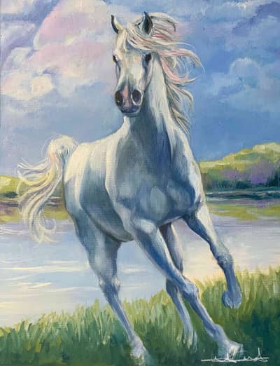 Mohammed wasim