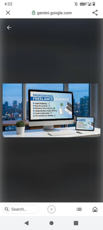 Professional Freelance Services Available logo design data entry typin