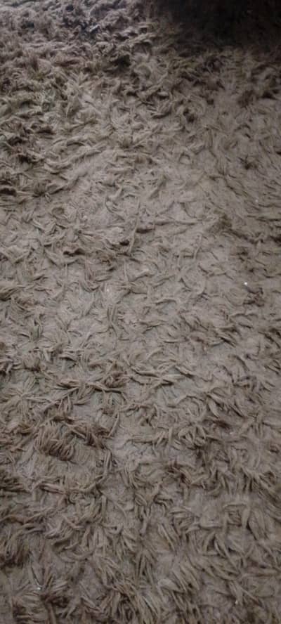 used imported carpet