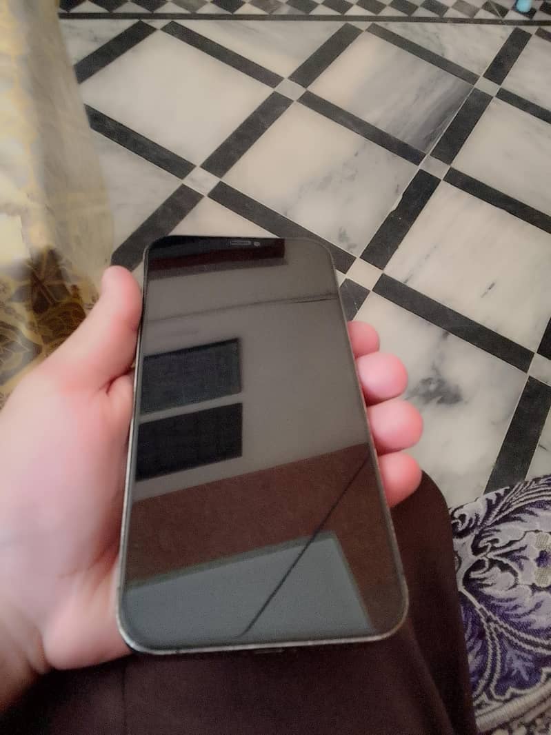 Apple iPhone 12 Pro Max 1