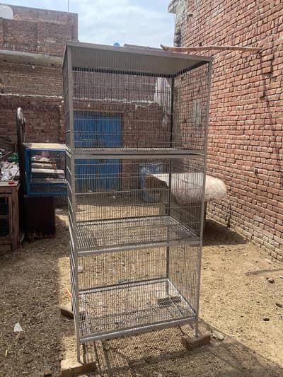 Cage and parrot