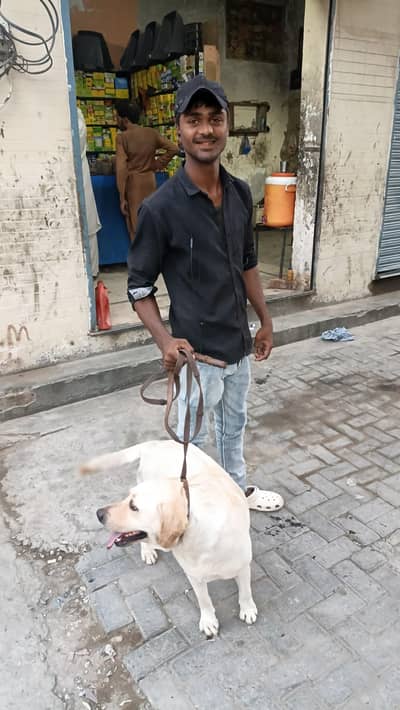 trand dog