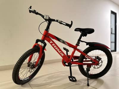 Trinx Raptor Bicycle