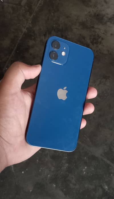 Apple iPhone 12