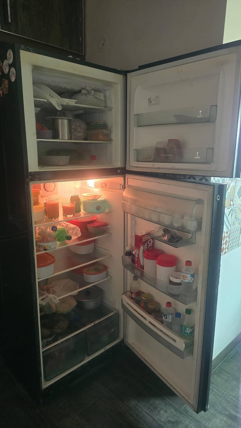 fridge 4