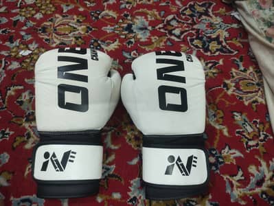 AdidasBoxing Boots & ONE Champ Gloves (Used 1 Week Only!)