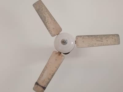 fan for fresh air