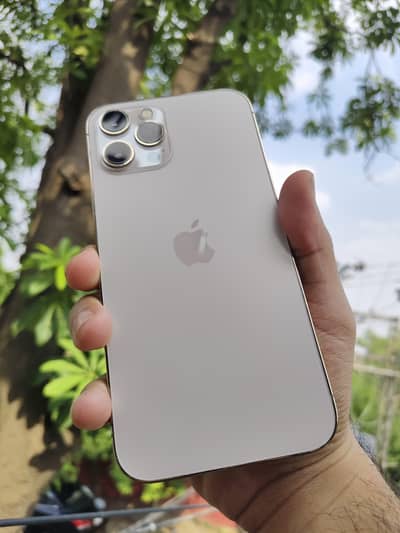 Apple iPhone 12 Pro Max PTA Approved