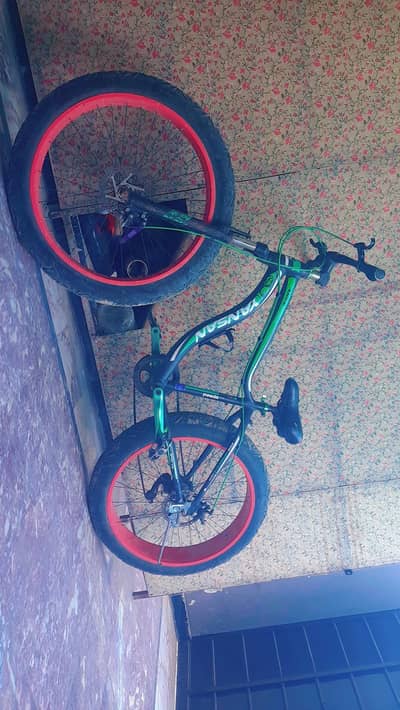 Mountain bicycle