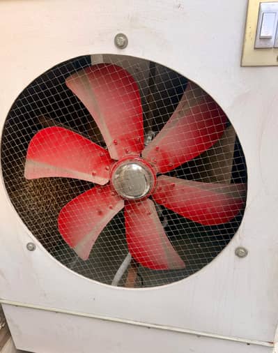 Only 1 month used cooler