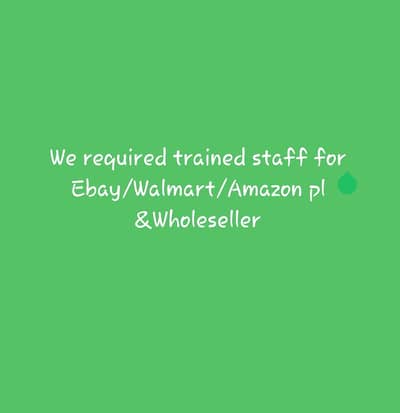 We required trained staff for ecommerce