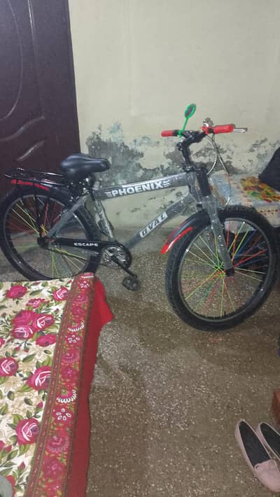 bicycle 