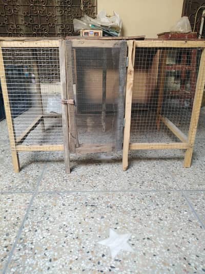 New Cage for Hens