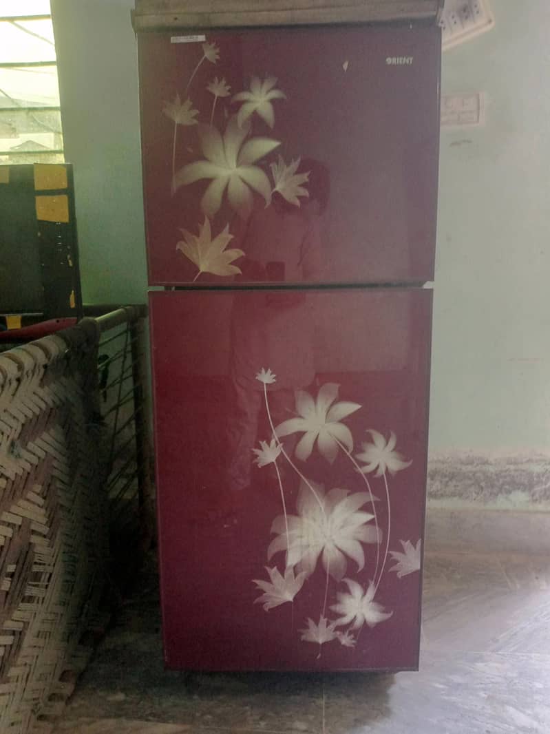 fridge 0