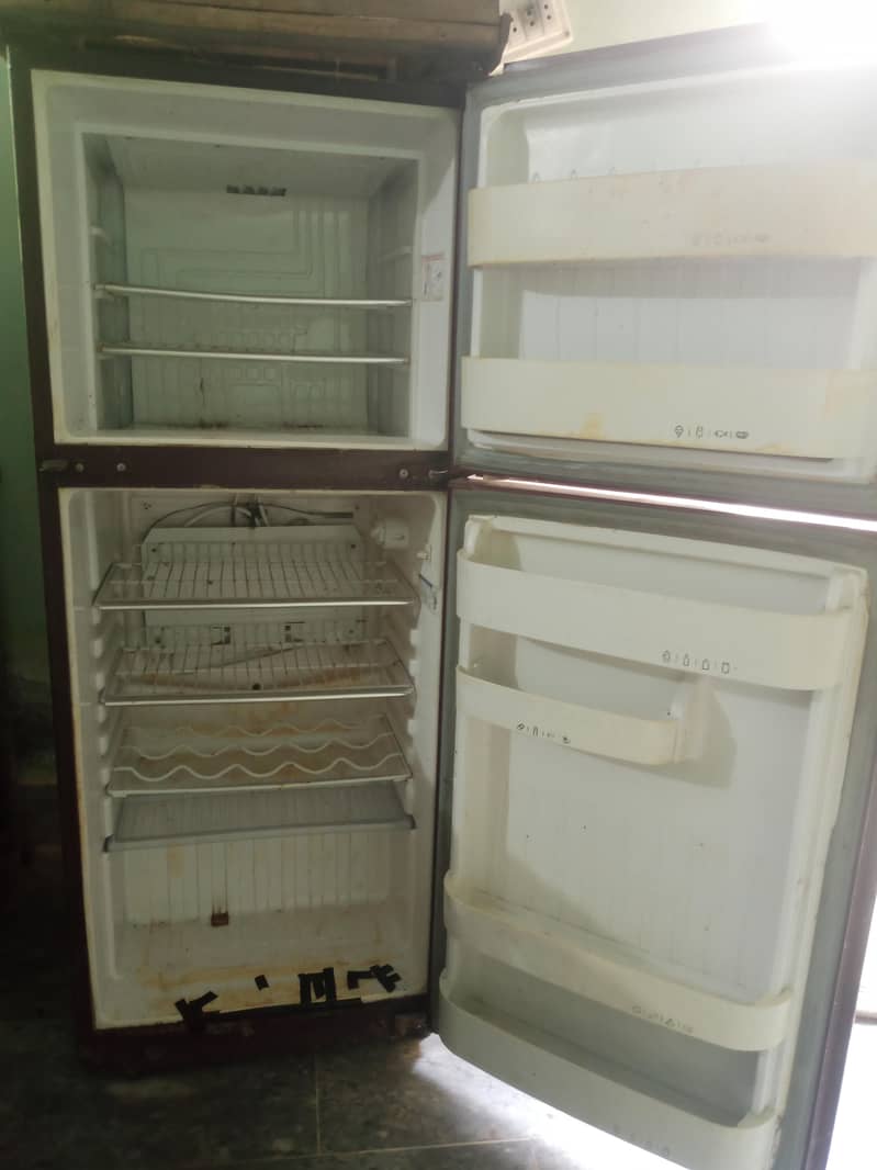 fridge 1