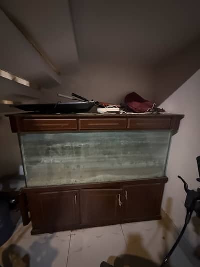 Fish aquarium big size