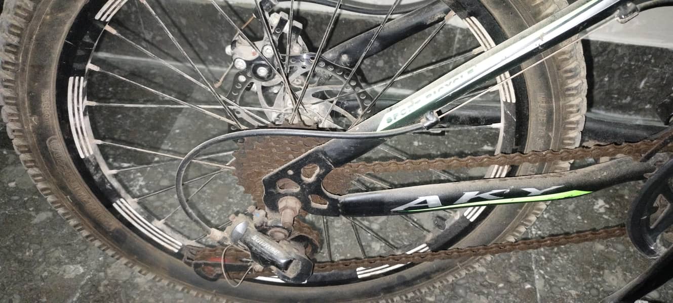 bicycle 2