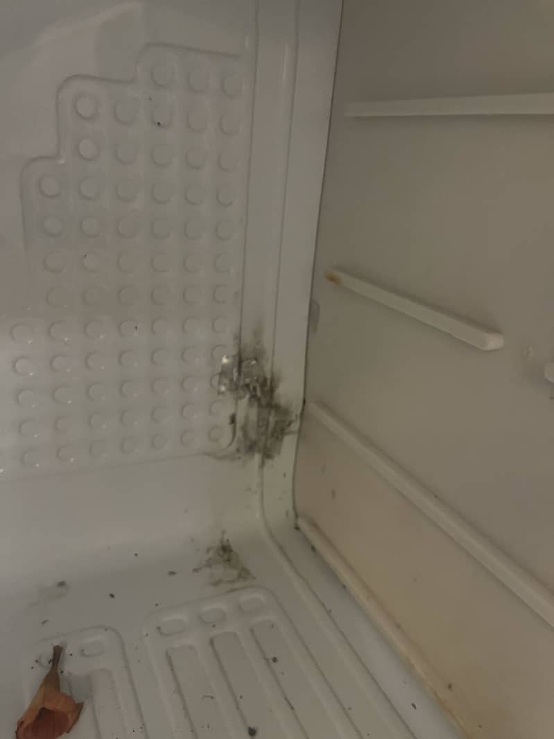 Damaged fridge 1