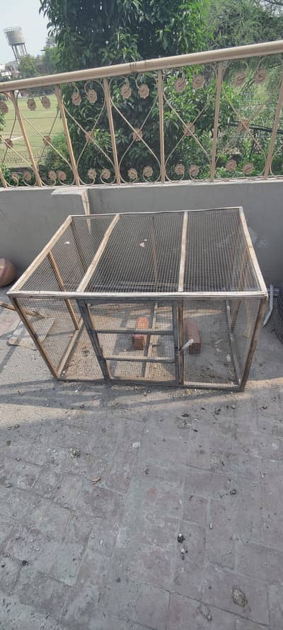 Bird's Cage