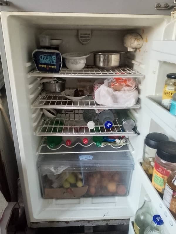 Fridge 2
