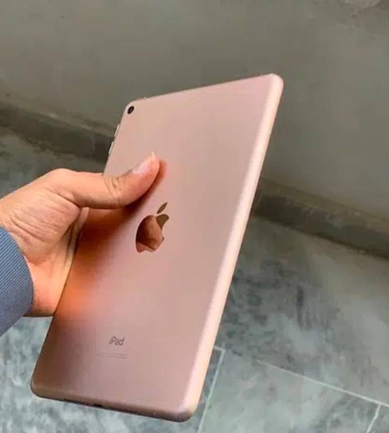 iPad Mini 5 0