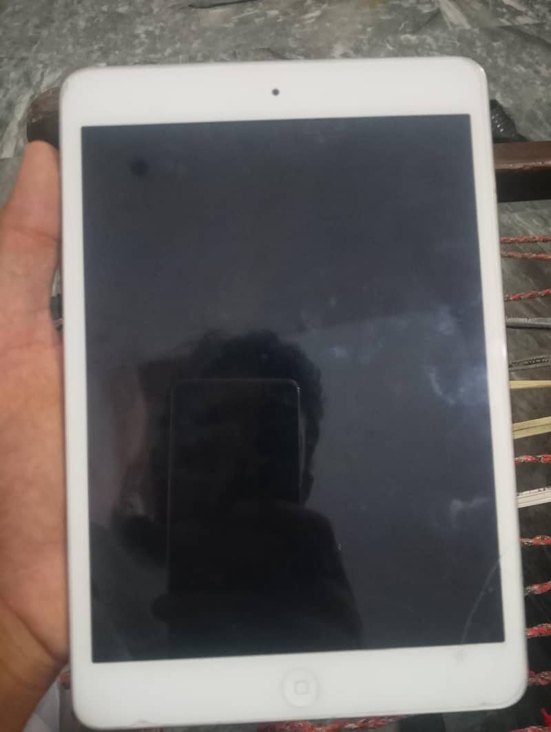 ipad mini 2 0