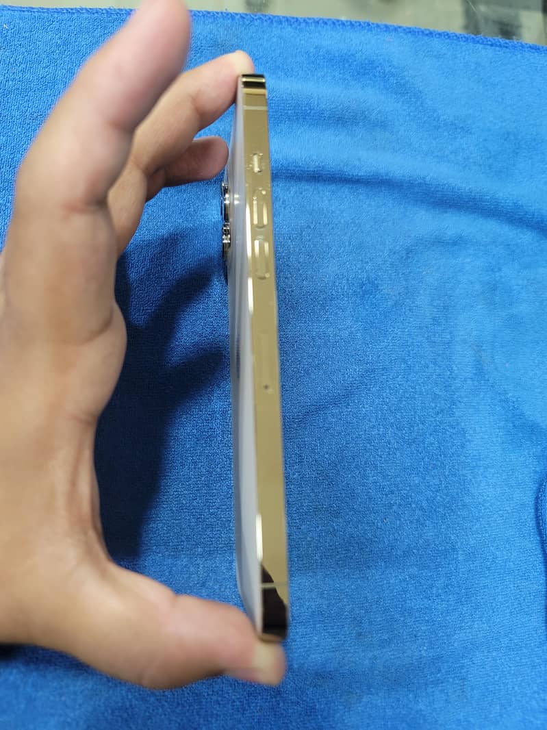 12 pro max 3
