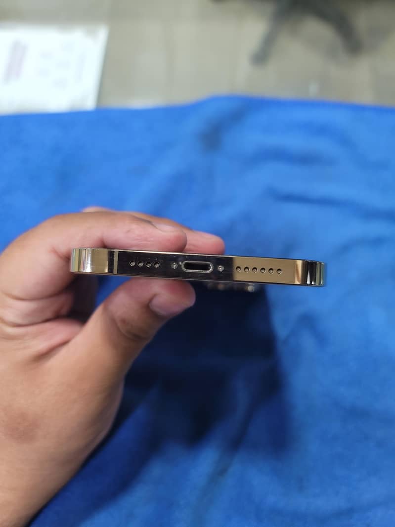12 pro max 4