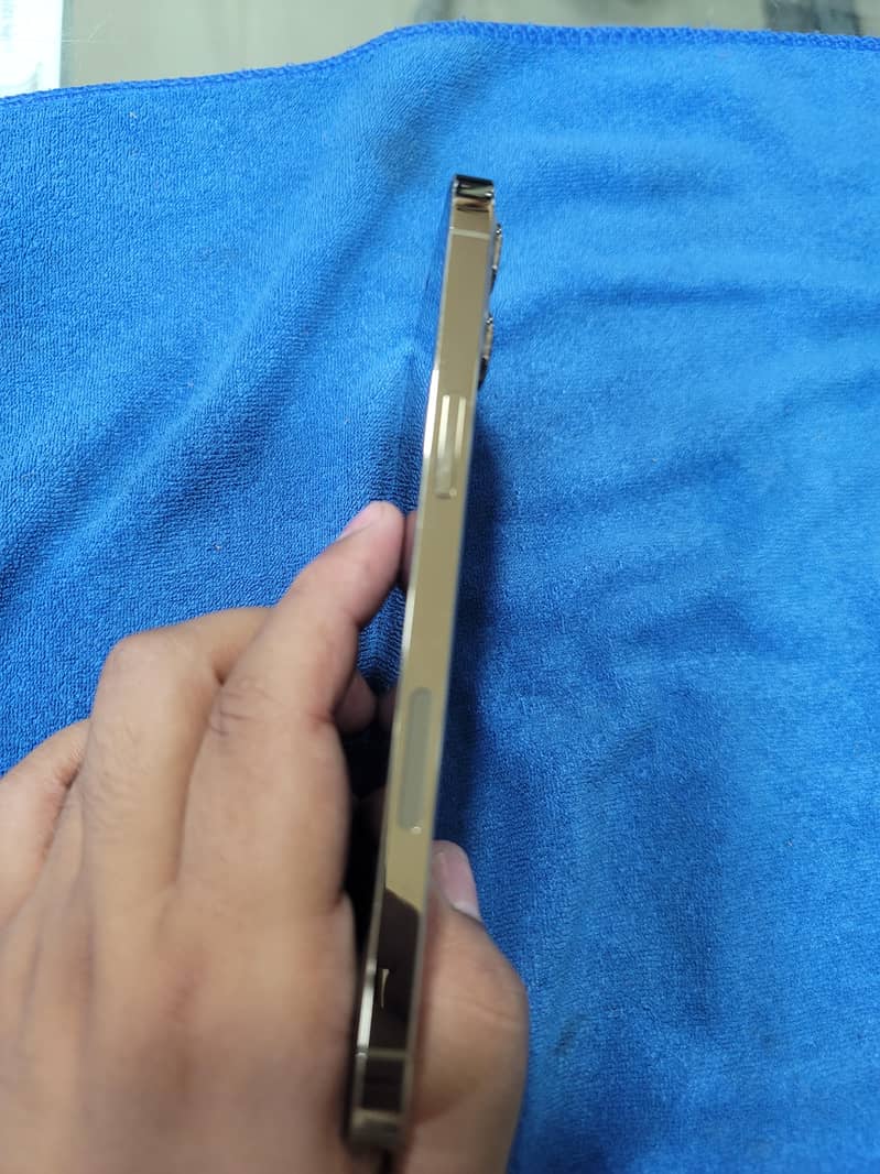 12 pro max 5
