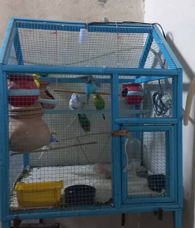 Cage, Birds & Accessories