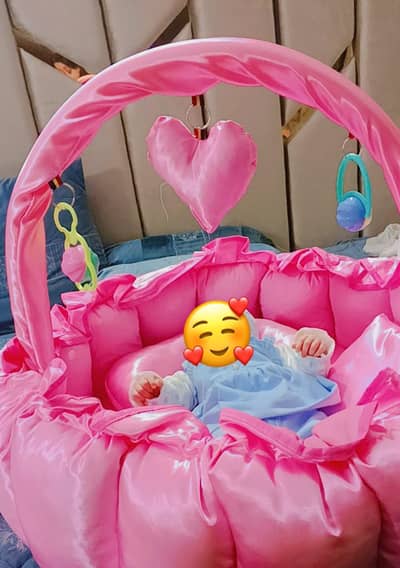 Premium Circular baby bed set covered with net in pink color
