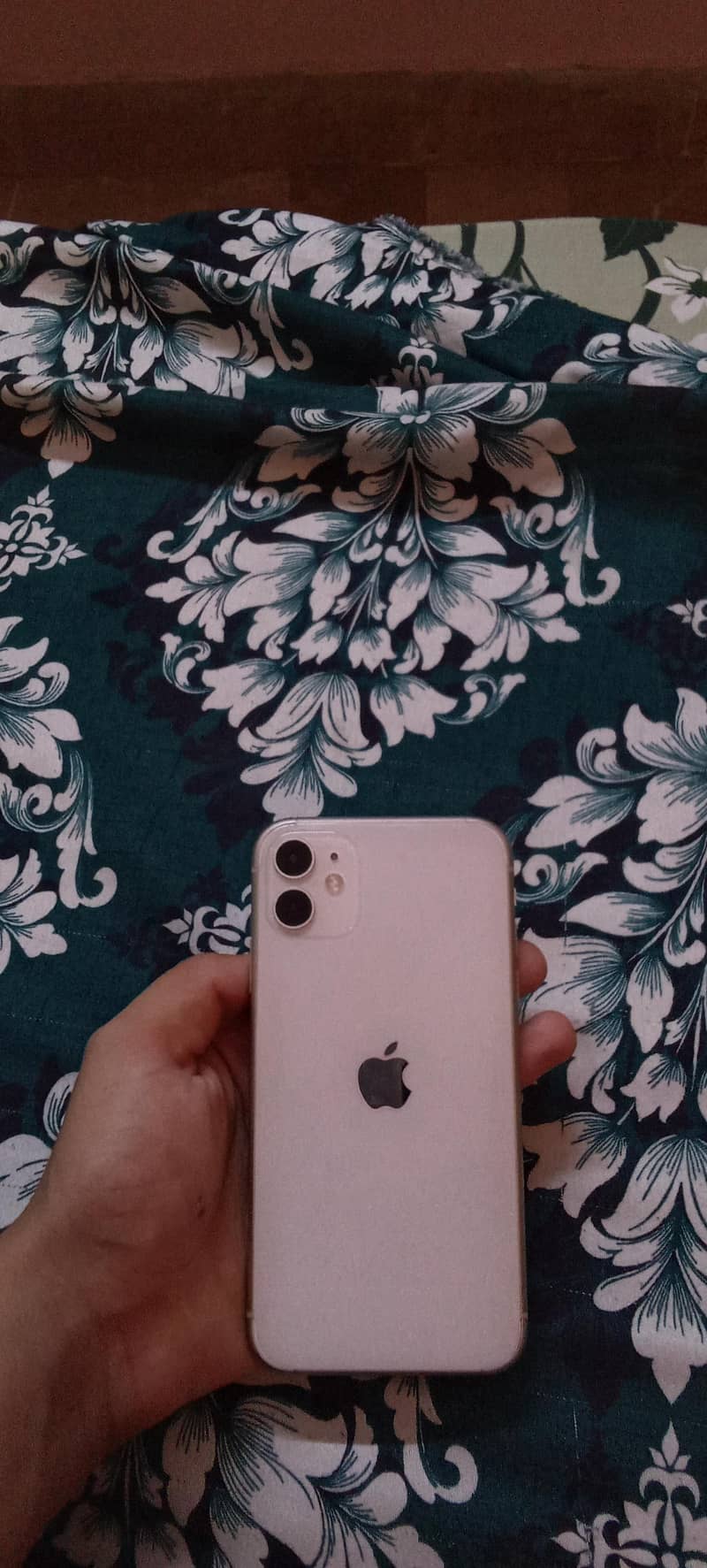 Apple iPhone 11 1